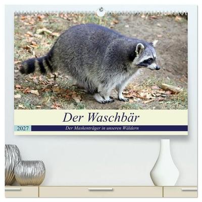 Der Waschbär - Der Maskenträger in unseren Wäldern (hochwertiger Premium Wandkalender 2027 DIN A2 quer), Kunstdruck in Hochglanz