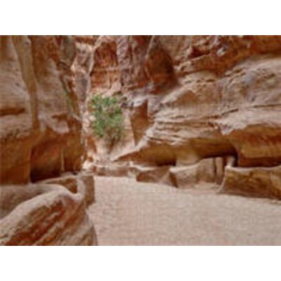 CALVENDO Puzzle Canyon Al Siq | 1000 Teile Lege-Größe 64x48cm Foto-Puzzle für glückliche Stunden