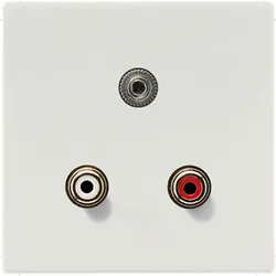 Jung Multimedia-Anschluss lgr MA LS 1011 LG