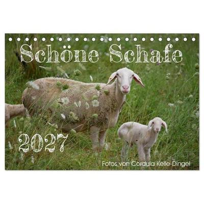 Schöne Schafe (Tischkalender 2027 DIN A5 quer), CALVENDO Monatskalender