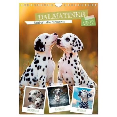 Dalmatiner - Zauberhafte Momente (Wandkalender 2027 DIN A4 hoch), CALVENDO Monatskalender