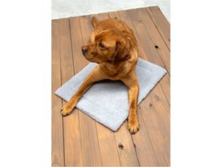 KARLIE Tapis thermique pour animaux de compagnie (gris clair)