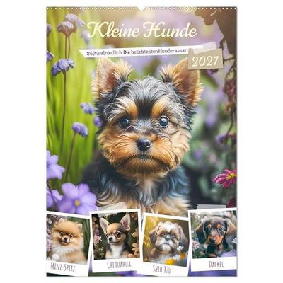 Kleine Hunde. Süß und niedlich. Die beliebtesten Hunderassen (Wandkalender 2027 DIN A2 hoch), CALVENDO Monatskalender