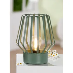 LED Windlicht Pavone grün
