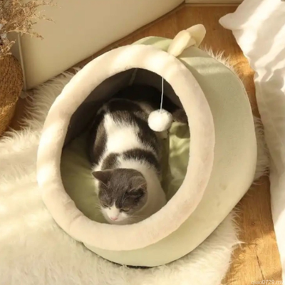 PetsAreLife Pet Cave Bed Green Dragon L