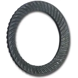 Schnorr, Muttern + Unterlegscheiben, Sperrzahnscheibe R 88120 beidseitig gezahnt S20 x30 x1,5 Federstahl (M20)