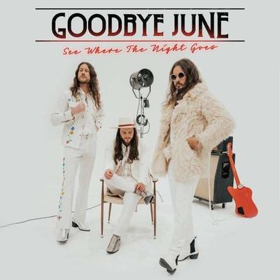 See Where The Night Goes (Black Vinyl) - Goodbye June, Vinyl