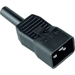 BACHMANN Kaltgerätestecker C20 sw 16A/250VAC,65 Grad 915.175