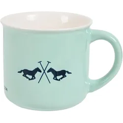 HV Polo, Tasse, Polo (1x)