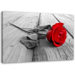 WANDBILD Rote Rose 120x80cm