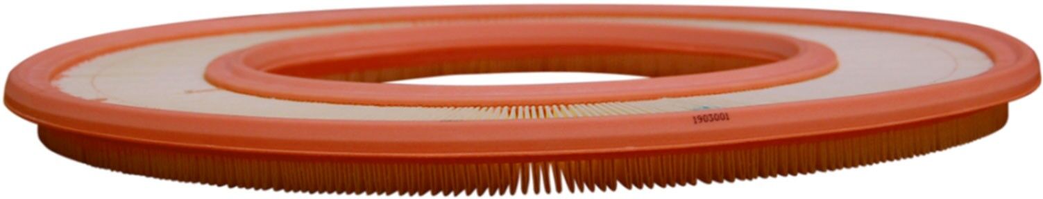 FILTRON AP 027 Air filter