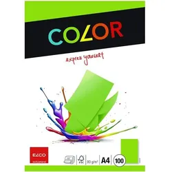 ELCO Kopierpapier »Color« A4 100 Blatt grün