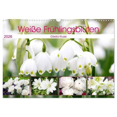 Weiße Frühlingsblüten (Wandkalender 2026 DIN A3 quer), CALVENDO Monatskalender