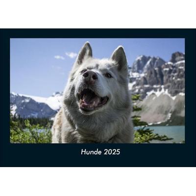 Hunde 2025 Fotokalender DIN A4