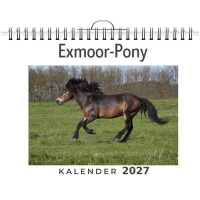 Exmoor-Pony