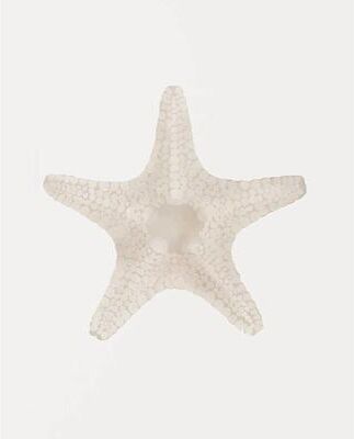 Inspired Finds Watercolor Sea Shell Wall Art Canvas Set Starfish Coastal Prints For Living Room Decor 19.69x27.56in No Frame pearl Star Form