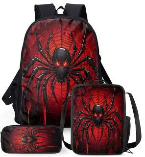 LightInthebox Boys Large Capacity School Backpack with Double Compartments, Cool Graphic Bookbag for Kids and Teens, Lightweight Travel Backpack for Back to School