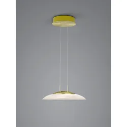Pendelleuchte FINDUS (DH 42,50x150 cm) - DH 42,50x150 cm