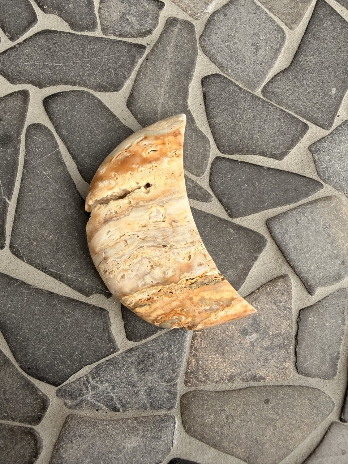 GemWood Calciet maan voor volwassenen