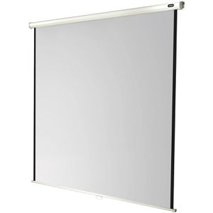 Celexon Beamer-Leinwand Rollo Economy, 134 Zoll, 240 x 240 cm, Format 1:1, Rolloleinwand