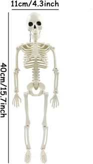 Inspire Curations Halloween Humanoid Skeleton Decoration Realistic Skeleton Prop Decor Haunted Party Ornament 40x11cm 1pcs