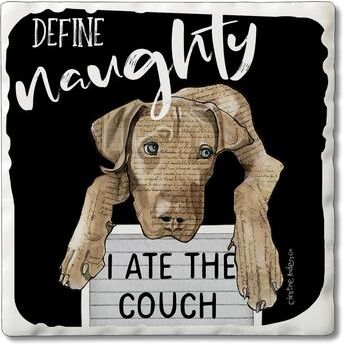 Counterart Absorbent Stone Coasters - The Couch - Set of 4 - 4x4x1.532