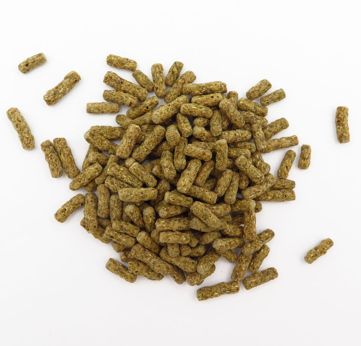 In The Nature Tartarughe Onnivore Stick 70G