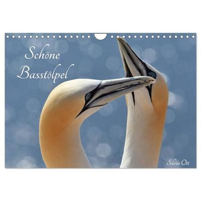 Schöne Basstölpel (Wandkalender 2027 DIN A4 quer), CALVENDO Monatskalender