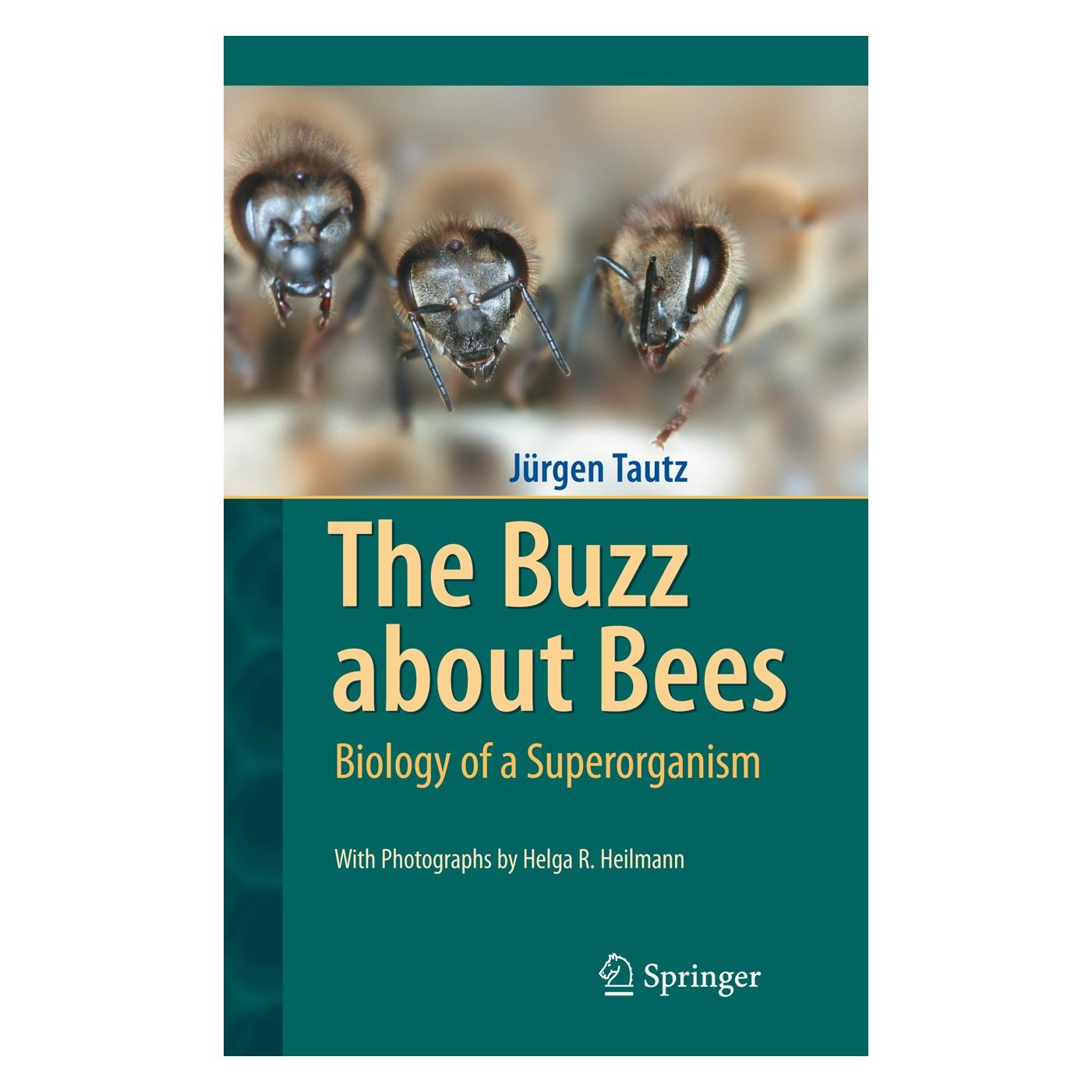 Springer The Buzz about Bees (Englisch, Hardcover, Jürgen Tautz) (9783540787273)