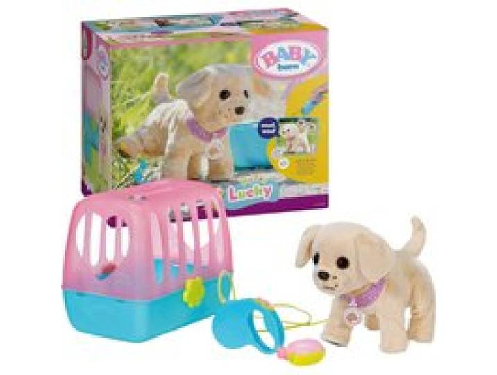 Mein Hund Lucky mit Box
