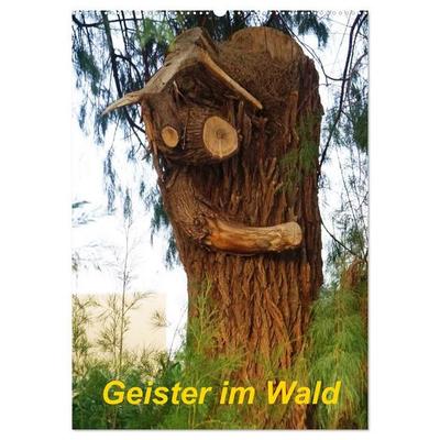Geister im Wald 2027 (Wandkalender 2027 DIN A2 hoch), CALVENDO Monatskalender