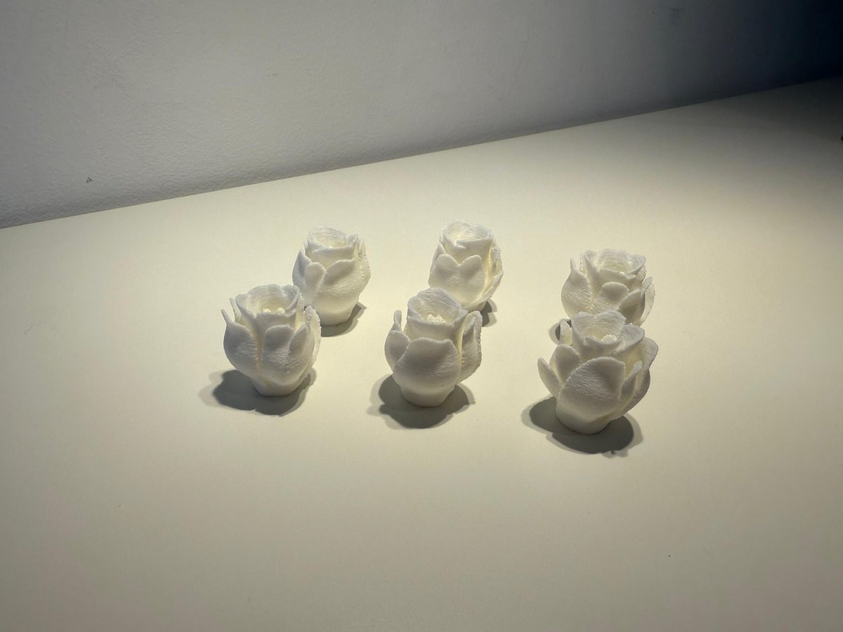 Set van 6 witte roosjes met glanzende afwerking