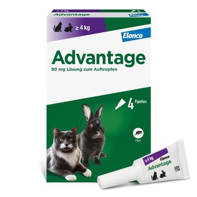 Advantage 80 mg f.gr.Katzen u.gr.Zierkaninchen 4x0,8 ml Lösung