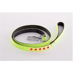 Martin Sellier Leine für Hunde fluoreszierend (100, Hund, Spazieren), Halsband + Leine