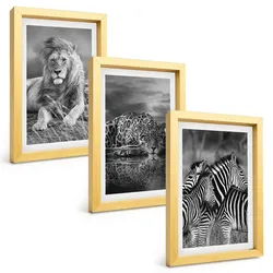 BILDER SET 3er Set - 20x30 cm Goldrahmen - Wildtiere der Savanne