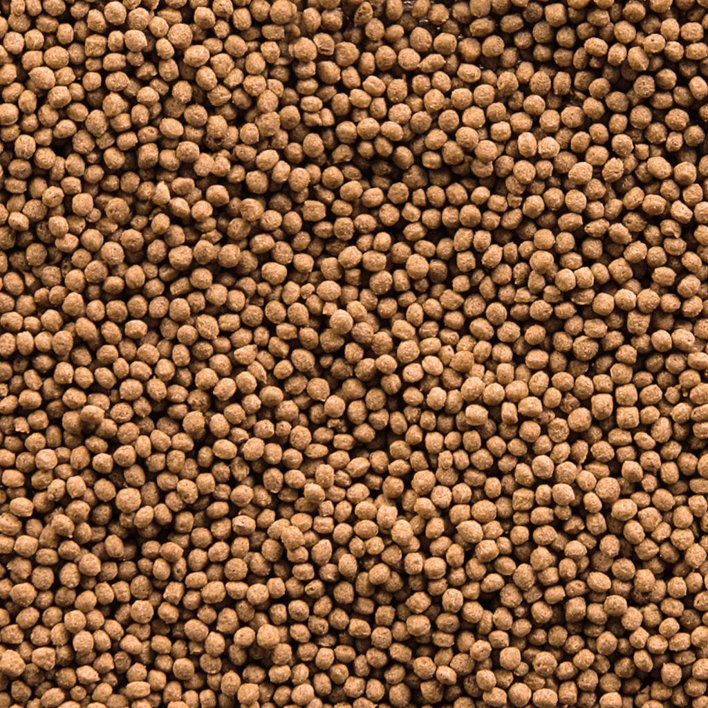 10 litri 2,9 kg sera Goldy Granules Nature Alimento Mangime Completo in Granuli Pellet Galleggianti per Pesci Rossi da Acquario e Laghetto