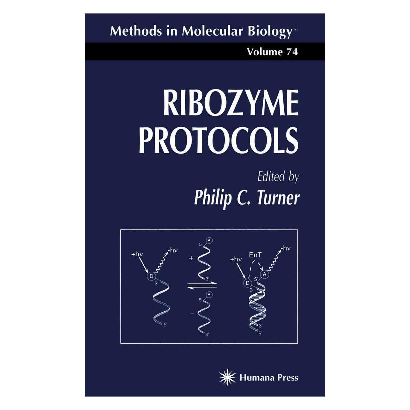 Springer Ribozyme Protocols (Englisch, Softcover, Philip C. Turner) (55560417)