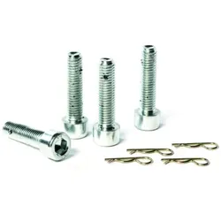 Schneider Ersatzschrauben/Stifte D100 Q=10/20 - 2810806010
