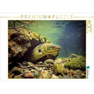 CALVENDO Puzzle Schütze den Aal - bewahre das Wasser. | 1000 Teile Lege-Größe 64 × 48 cm Foto-Puzzle für glückliche Stunden, von , Calvendo Puzzle