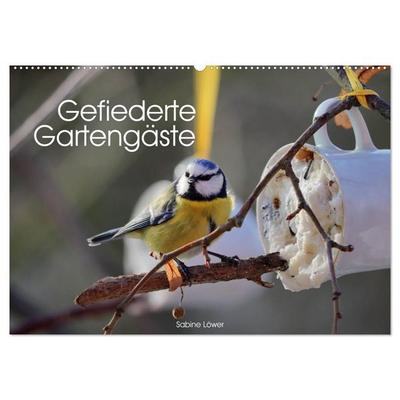 Gefiederte Gartengäste (Wandkalender 2027 DIN A2 quer), CALVENDO Monatskalender