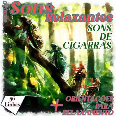 Coleção Sons Relaxantes - sons de cigarras - Silvia Strufaldi, Audio, 9798868774201