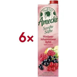 Amecke 6er-Pack Fruchtsaft »Sanfte Säfte Himbeere Johannisbeere Apfel« 1 Liter