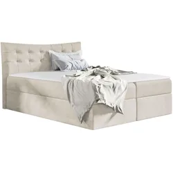 BOXBETT Havana - H3