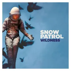 Polydor, Schallplatten, Wildness (LP) (Snow Patrol)