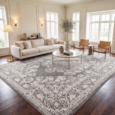 SAFAVIEH Reflection Nedelja Charming Oriental Rug