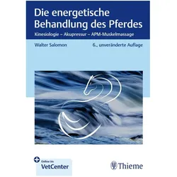Salomon:Die energetische Behandlung des, Ratgeber von Walter Salomon