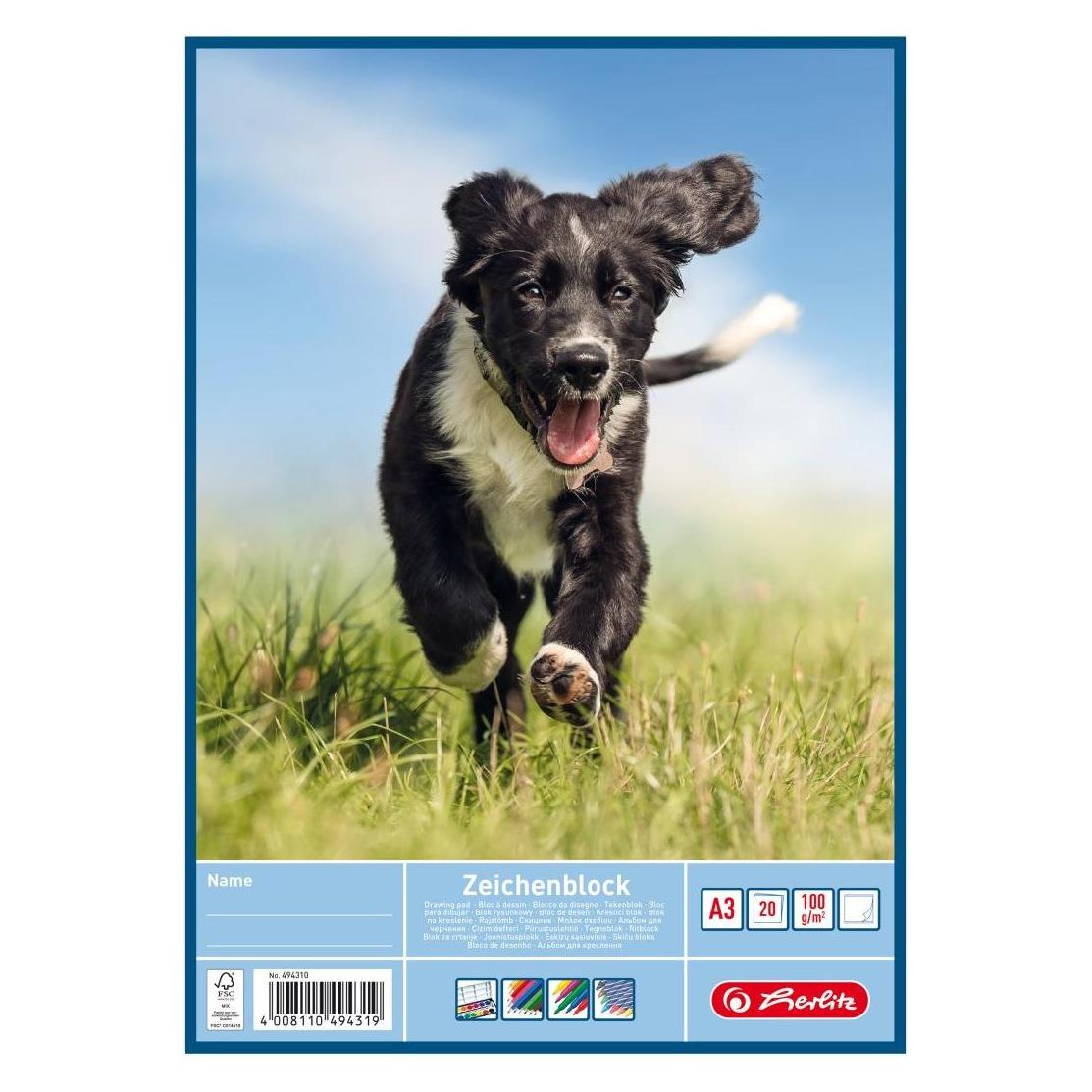 Herlitz Zeichenblock DIN A3, 100 g/qm, 20 Blatt (A3, Blanko, Kein Einband) (494310)