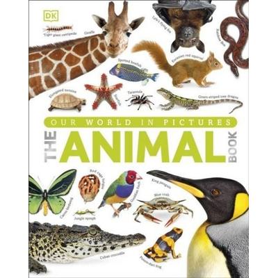 The Animal Book, Gebundene Ausgabe von DK, Dorling Kindersley, 978-1-4093-2349-5