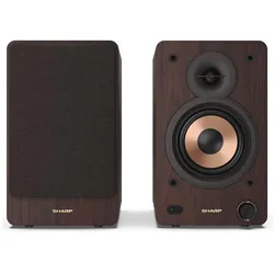 Sharp CP-SS30 (1 Paar, 60 W), HiFi + Heimkino Lautsprecher, Braun