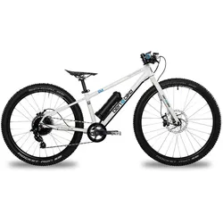 ben-e-bike TWENTYFOUR-SIX E-Power